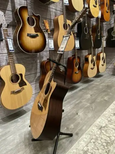 Taylor Guitars - 314CE 2